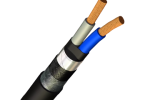 Силовой кабель 2x25 мм ВБШв-ХЛ ГОСТ 16442-80